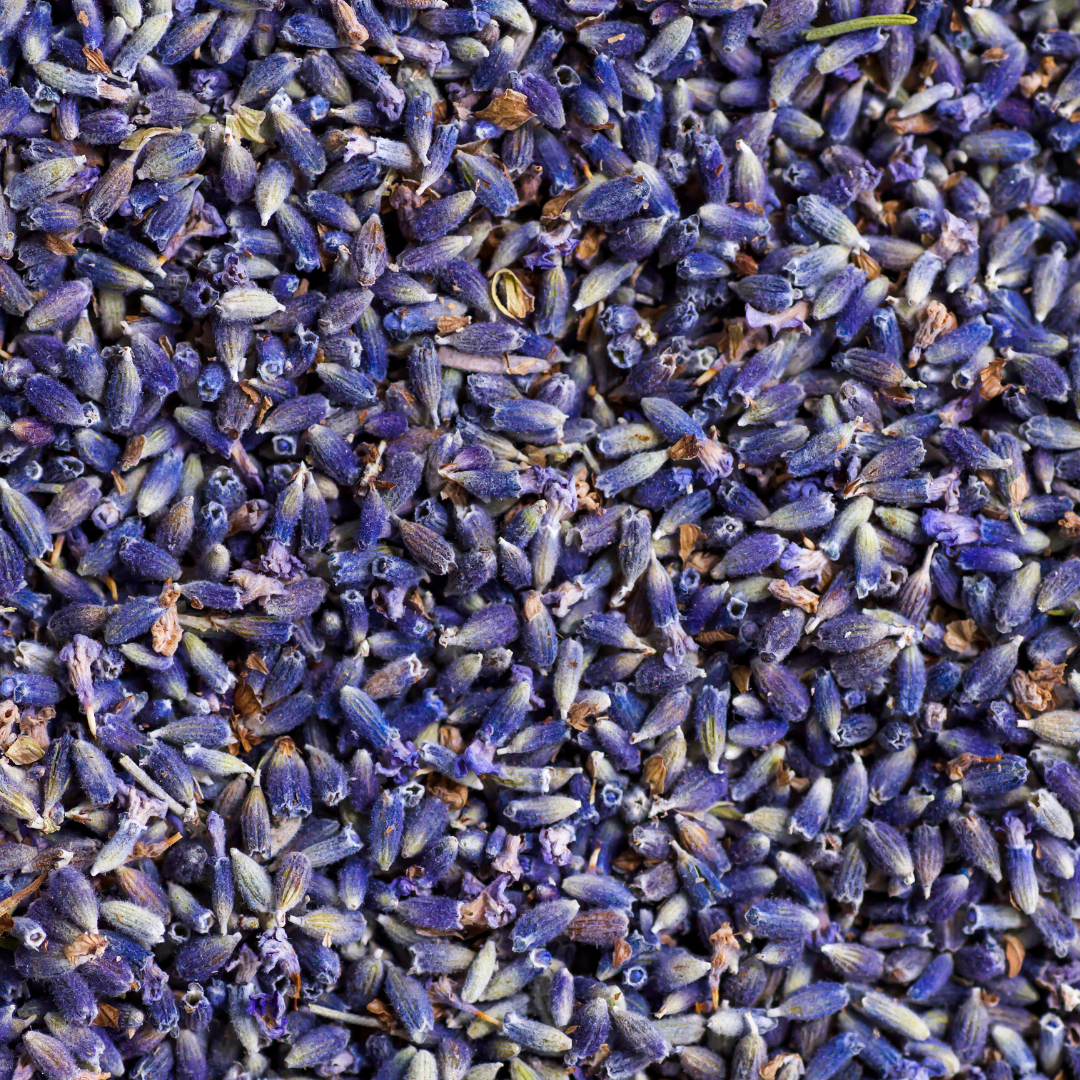 lavendel
