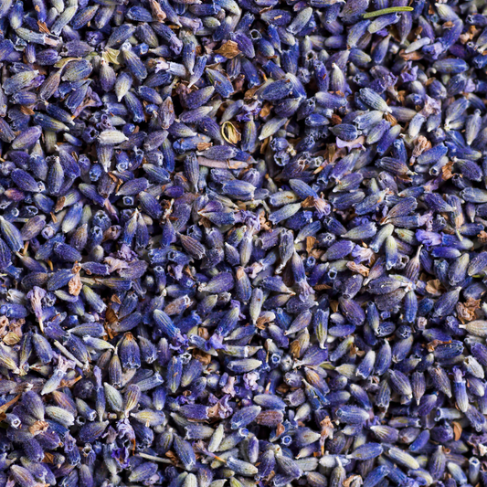 lavendel